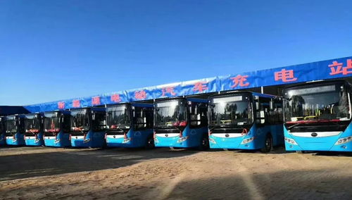 西运集团新能源充电站启用暨3路公交开通与道路货物运输站经营启动